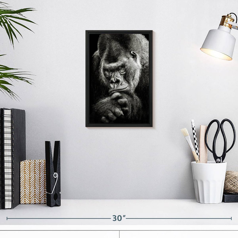 Portrait de gorille, 9 po x 13 po, Cadre flottant noir