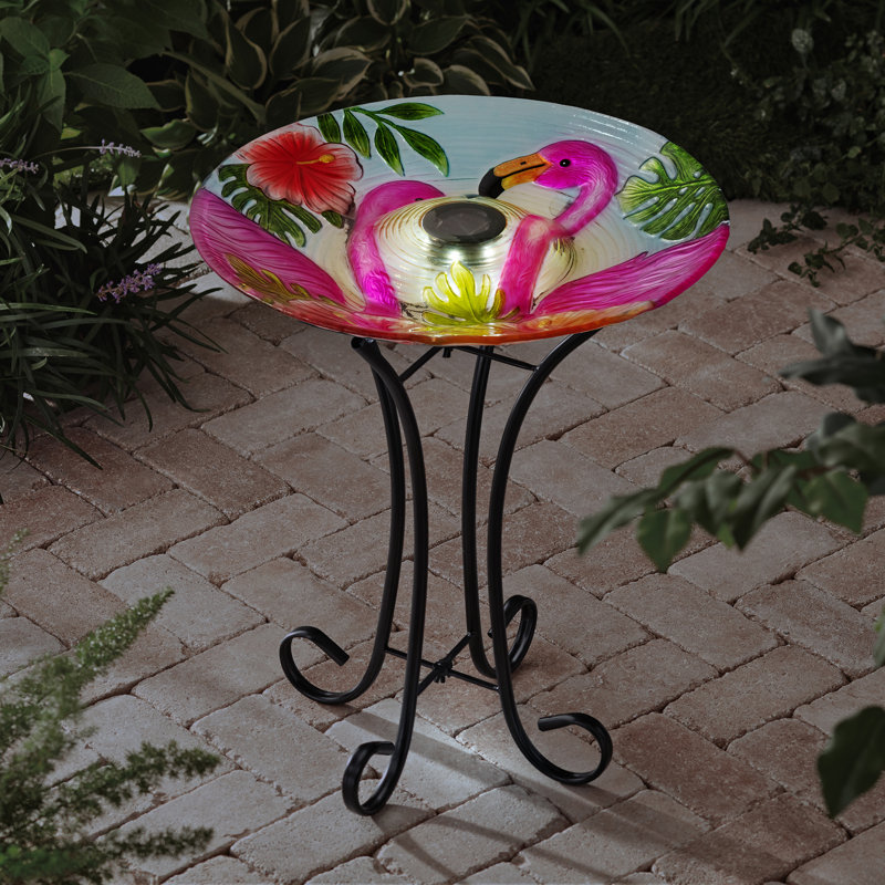 Bain solaire d'oiseaux flamant rose