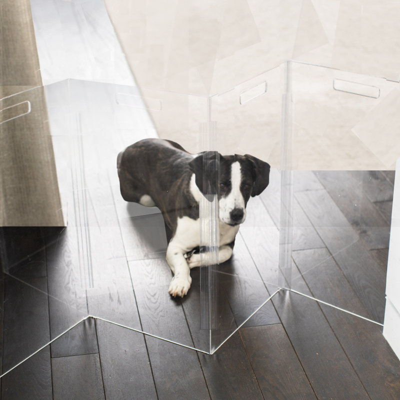 Clear Zig Zag Pet Gate, 4-Panel , Low 