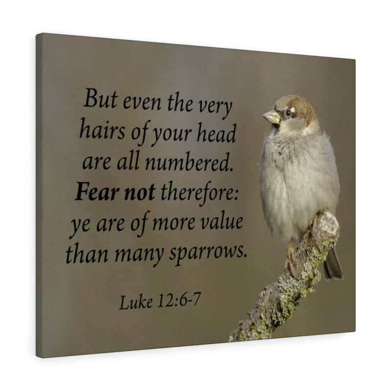 Value Luke 12:6 - Wrapped Canvas Print, 61cm H x 76cm W