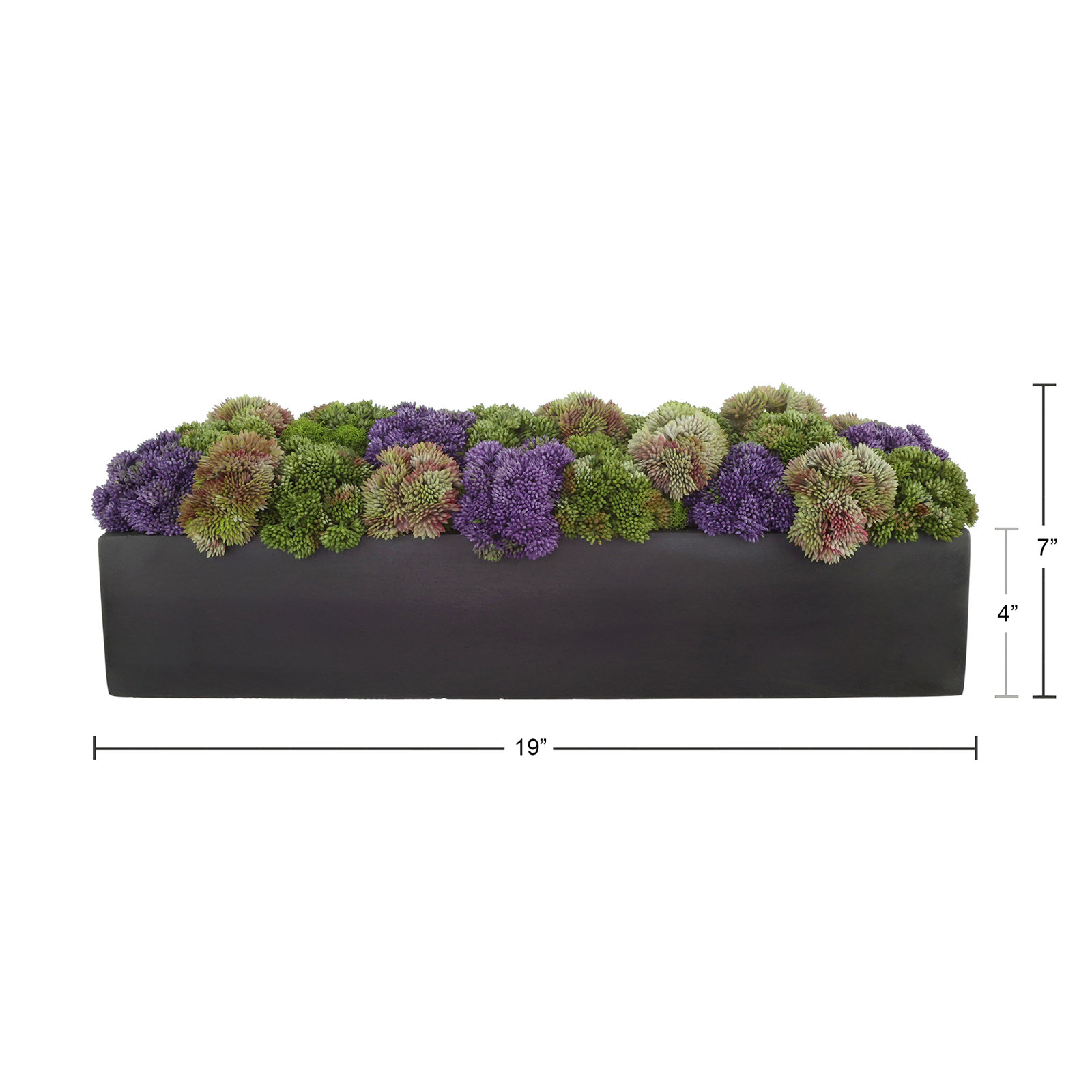 Multi Colored Sedum in Black Planter, Rectangular, 7" H x 19" W x 6" D, Black