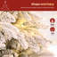 Christmas Tree-2065656169
