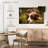 Lovable Border Collie-2096838594