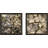 " Chopped I Crop " 2 - Pieces-25346364-25346366