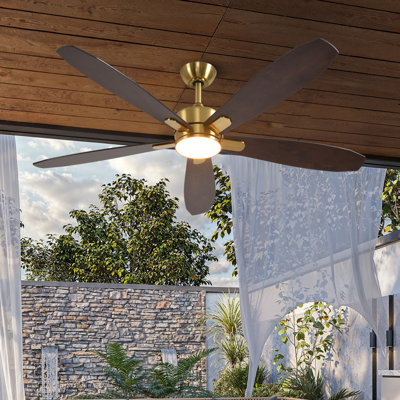 Kaminski 56" Indoor/Outdoor Ceiling Fan with Light and Remote, 6CCT Dimmable LED Light Kit - Champagne Bronze with Reversible Blackened Oak/Dark Cherry