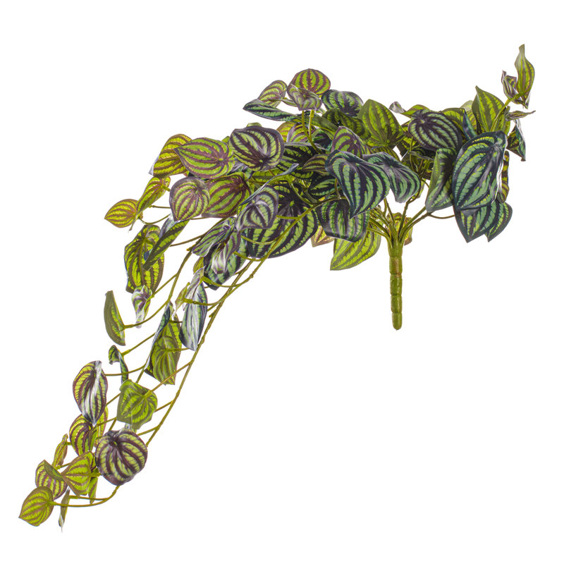25" Artificial Peperomia Piccolo Bush