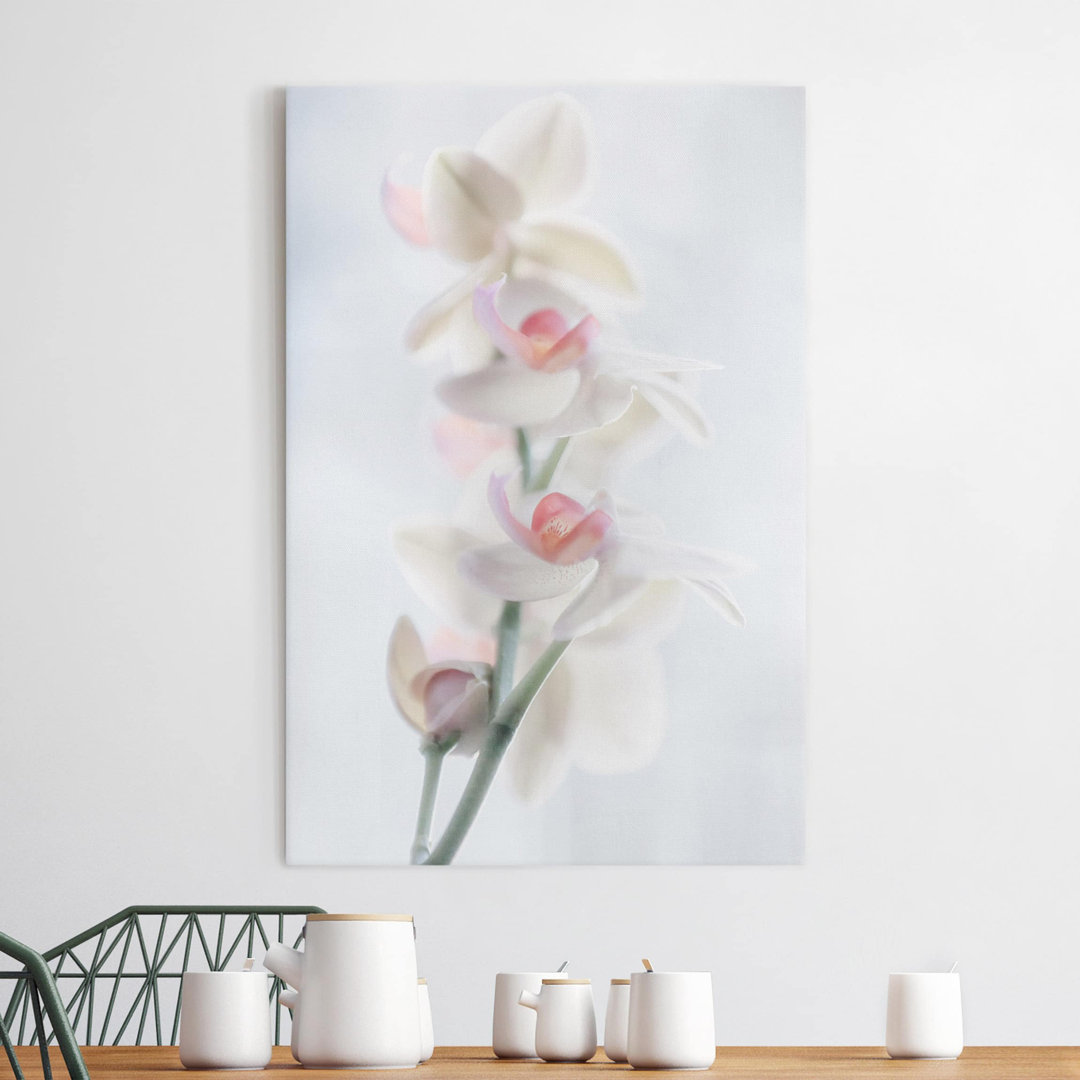 Leinwandbild Zerbrechliche Orchidee