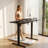 Kreutzer Adjustable Height Steel Standing Desk-1670134400-1670371019