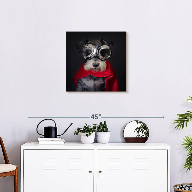 Brampt Superhero Schnauzer, 20" H x 20" W