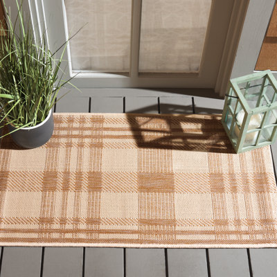 Janiqua Performance Plaid Indoor/Outdoor Area Rug