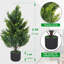 70cm Tree