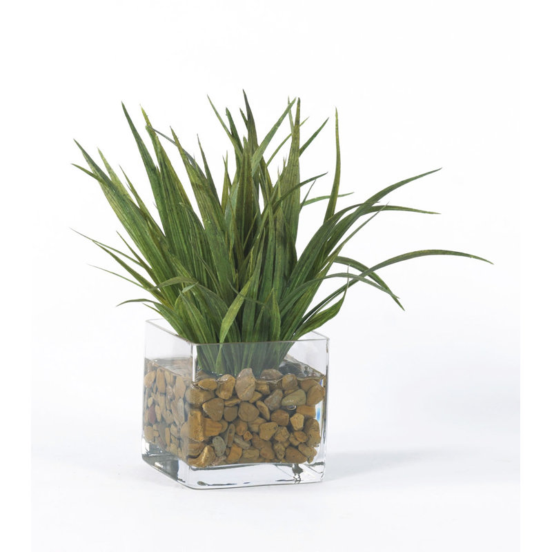 11 " H Faux Foliage Grass in Glass Vase