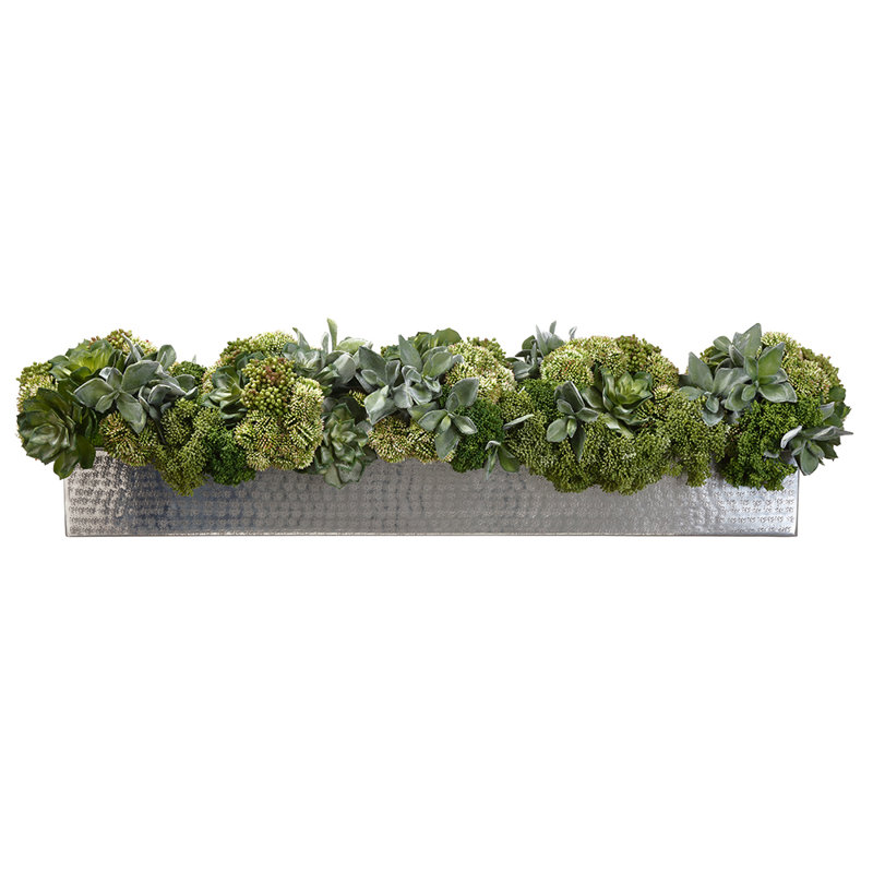 10H11W40"L SUCC/SEDUM IN PLTR