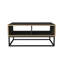 Table basse avec rangement Frame