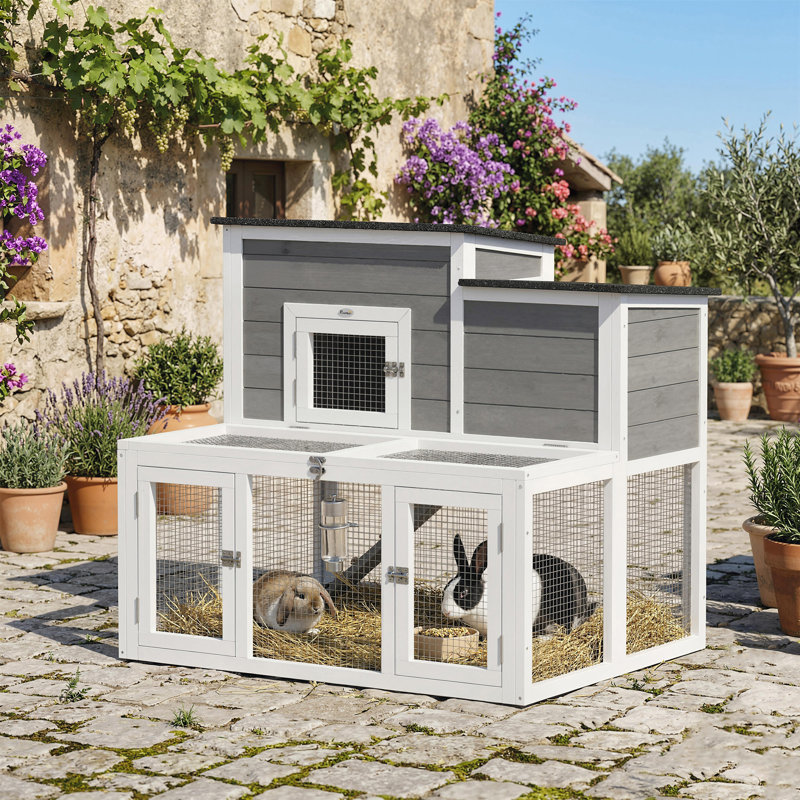 Rabbit, Guinea Pig Hutch