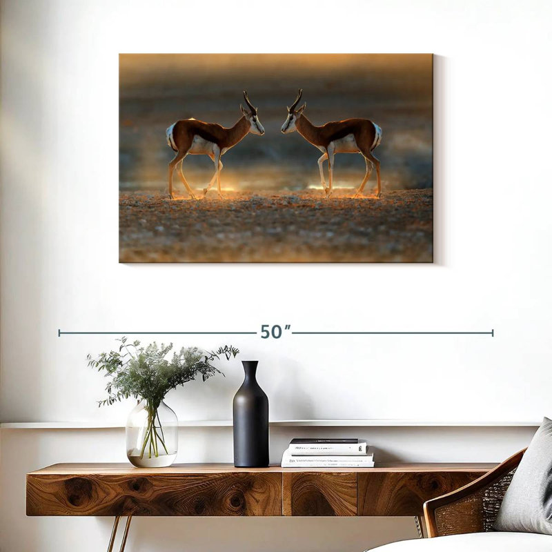 Brampt Springbok Antelopes, 24" H x 36" W