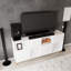 Aliona TV Stand for TVs up to 58"-1931340248