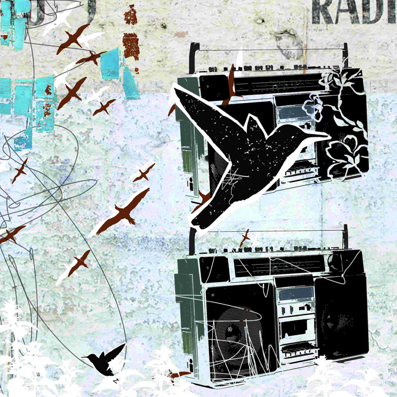 Colibri - impression sur toile tendue, H 20 po x l 20 po