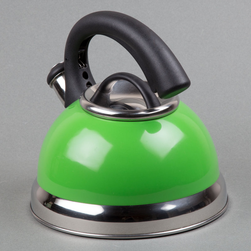 Green Stainless Steel Whistling Tea Kettle with Black Handle