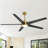 Beil Large Modern Ceiling Fan with Light Kit and Remote Control, 3 LED Colours, 6 Speed Noiseless DC Motor, 5 Plywood Blades, for Indoor/Covered Outdoor Use-1606988307-1595520269-1556980191