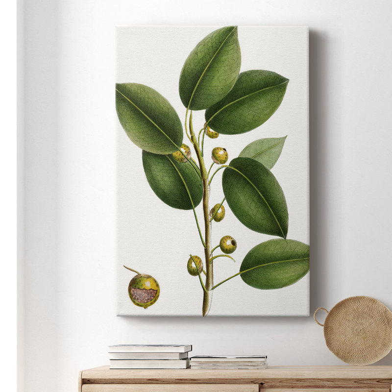 «Cherry Fig Tree», impression sur toile tendue, H 18 po x l 12 po x P 1,5 po
