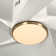 Karlena 52'' Modern Large Dimmable Ceiling Fan with LED Lights and Remote Control
