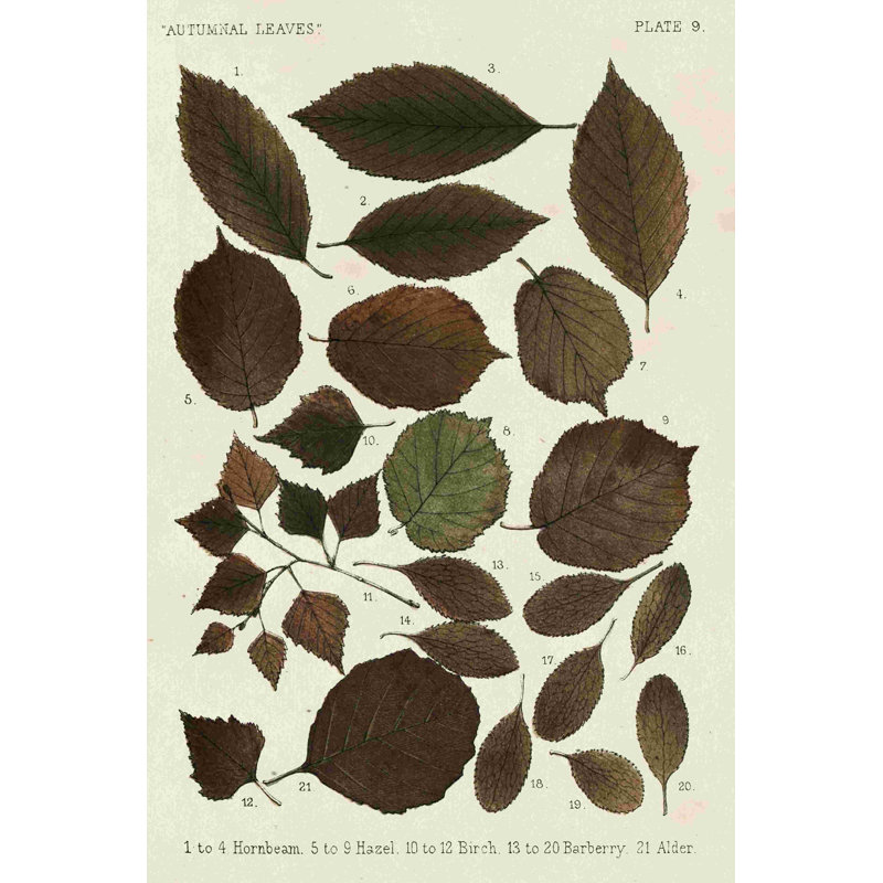 Feuilles d'automne VI, H 18 po x l 12 po