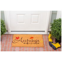 https://assets.wfcdn.com/im/20795749/resize-h210-w210%5Ecompr-r85/9294/92942541/Kathlene+Non-Slip+Outdoor+Doormat.jpg