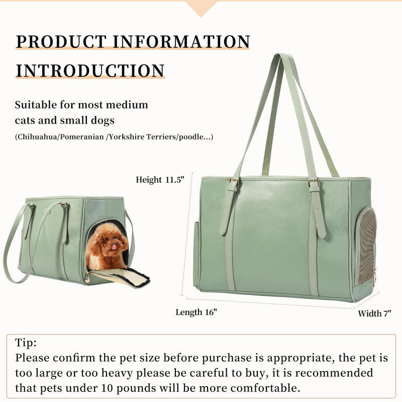 Pet Carrier, Green