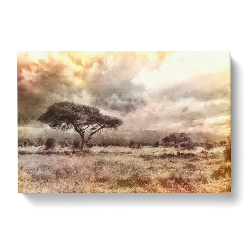 Trees In Africa - Wrapped Canvas Print, 35cm H x 50cm W x 3cm D