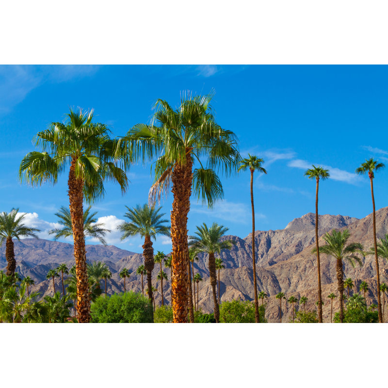 Coachella Valley by Sanfel - Wrapped Canvas Print, 30cm H x 46cm W x 3.8cm D