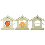 Apple Feeder
