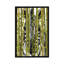« bambou zèbre », reproduction d’impression sur toile-20916054-73146800-73146801