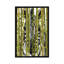 « bambou zèbre », reproduction d’impression sur toile-20916054-73146801-73146800