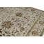 Chantel Oriental Area Rug in Ivory
