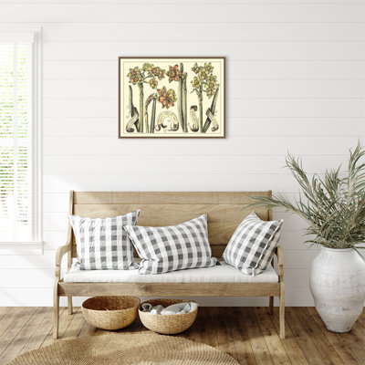 «Narcissus in Bloom II» par Mark W. Langlois, reproduction d'art sur toile encadrée