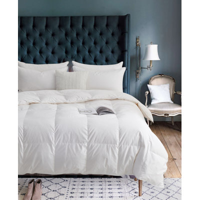 Édredon en duvet 400TC Huttertite 800
