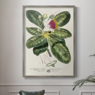 Imperial Tropical Botanical I Framed Print - Solid Wood