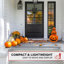 Silly Pumpkins Indoor Light-Up Halloween Prop & Decoration