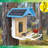 Ai Smart Wild Bird Feeder