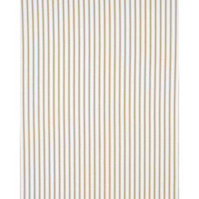 Schumacher x Mark D. Sikes Birdie Ticking Stripe Fabric