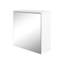 Bathroom Cabinet