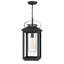 Medium Hanging Lantern-252414791