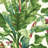 Wragby 27' x 27" Wallpaper Roll-679085223