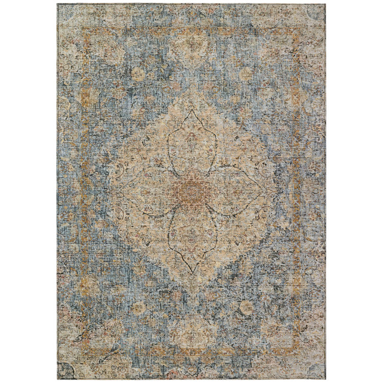 Machine Washable Indoor/Outdoor Colman ACN2136 Global Rug