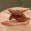 Wood Turtle on Surf Board Sculpture