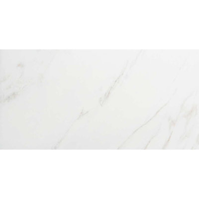 Huntington 24" x 48" Polished Porcelain Floor and Wall Tile