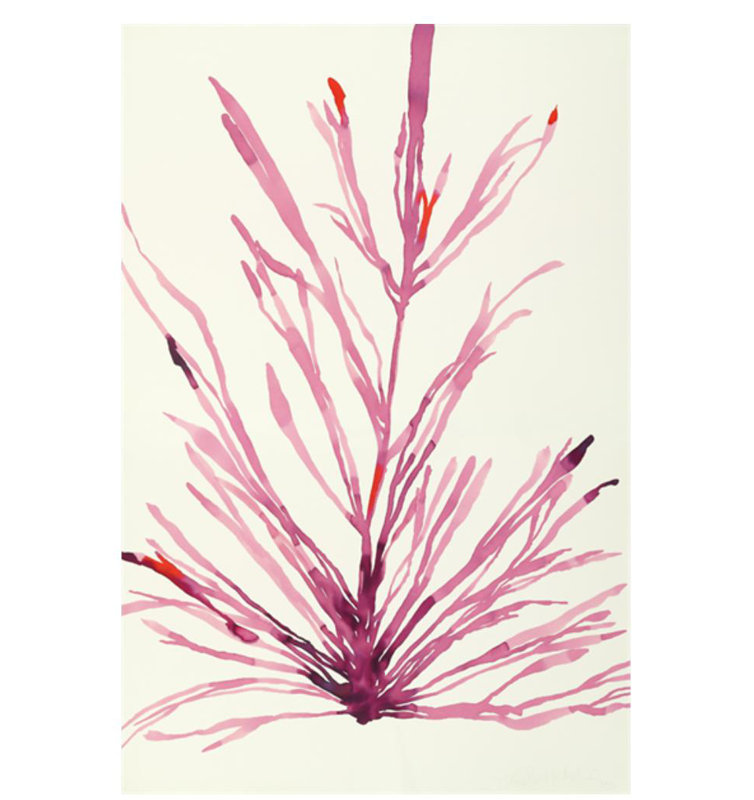 Plants II Print by Hable Construction, Glass Coat, 60" H x 40" W