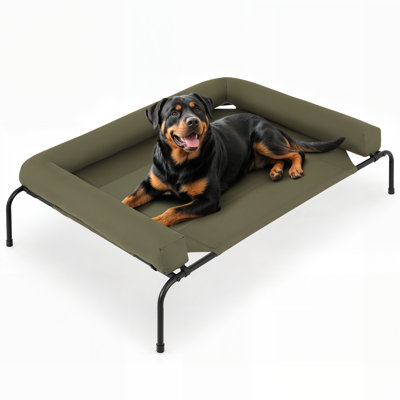 Elevated Dog Bed with Removable Cooling Cushion