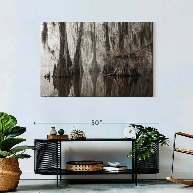 Arbres Harnek poussant dans le lac Caddo, H 30 po x l 45 po
